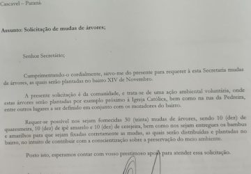 WhatsApp Image 2023-05-26 at 15.55.47