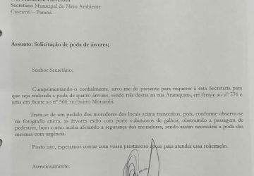 WhatsApp Image 2023-05-29 at 15.53.43