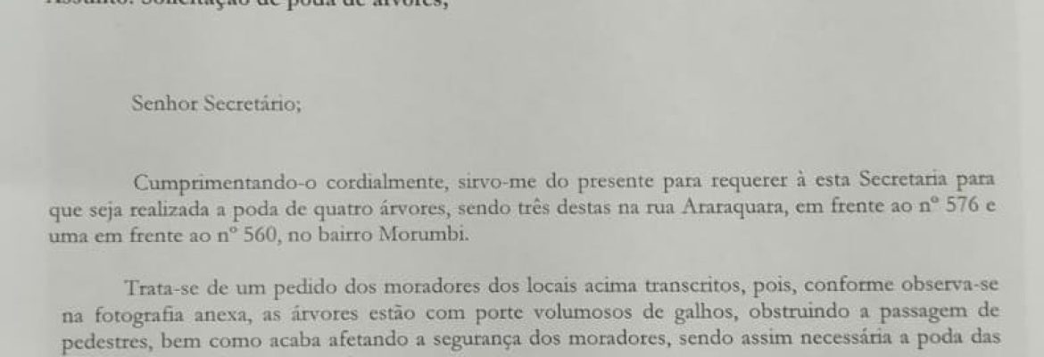 WhatsApp Image 2023-05-29 at 15.53.43