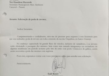 WhatsApp Image 2023-07-28 at 11.00.00